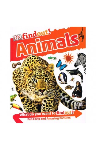 DK Findout! Animals  